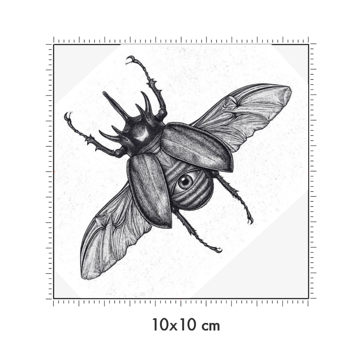 10 x 10 cm