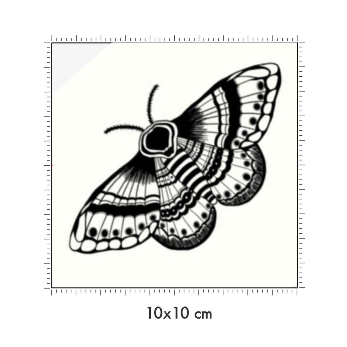 10 x 10 cm