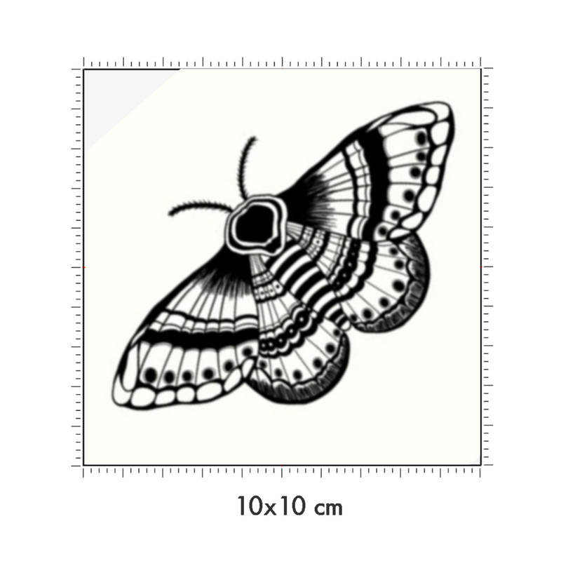 10 x 10 cm