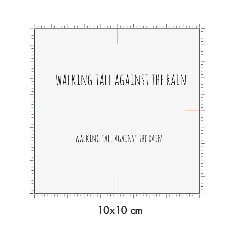 10 x 10 cm