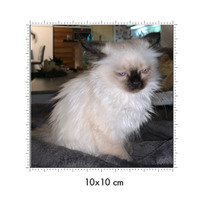 10 x 10 cm