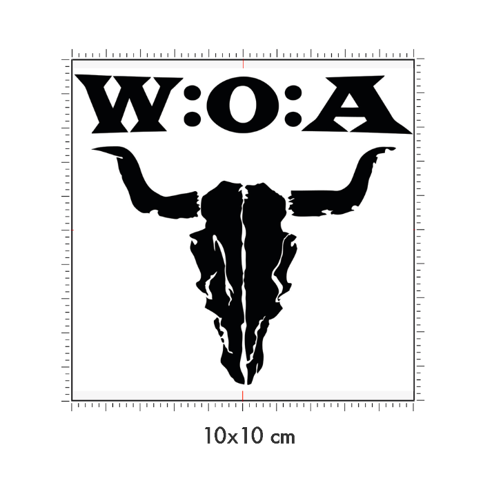 10 x 10 cm