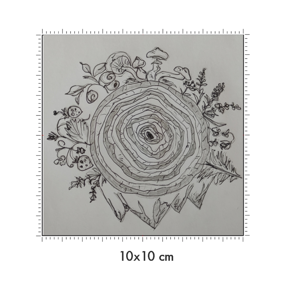 10 x 10 cm