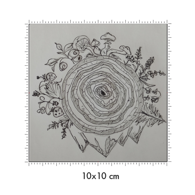 10 x 10 cm