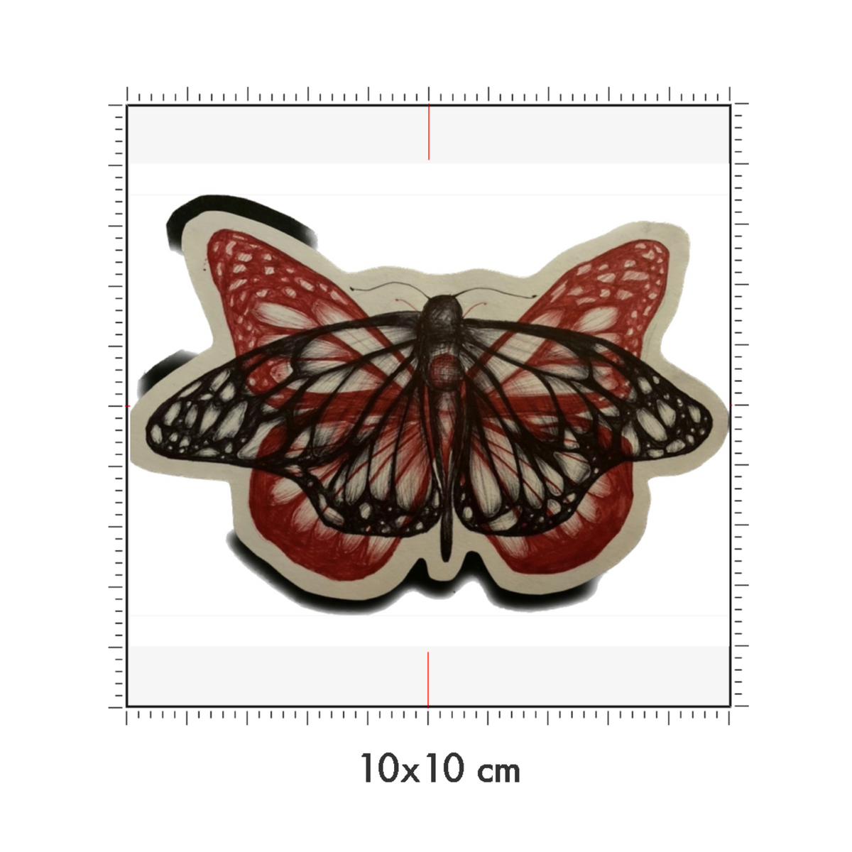 10 x 10 cm