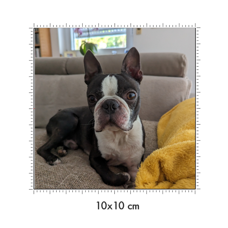 10 x 10 cm