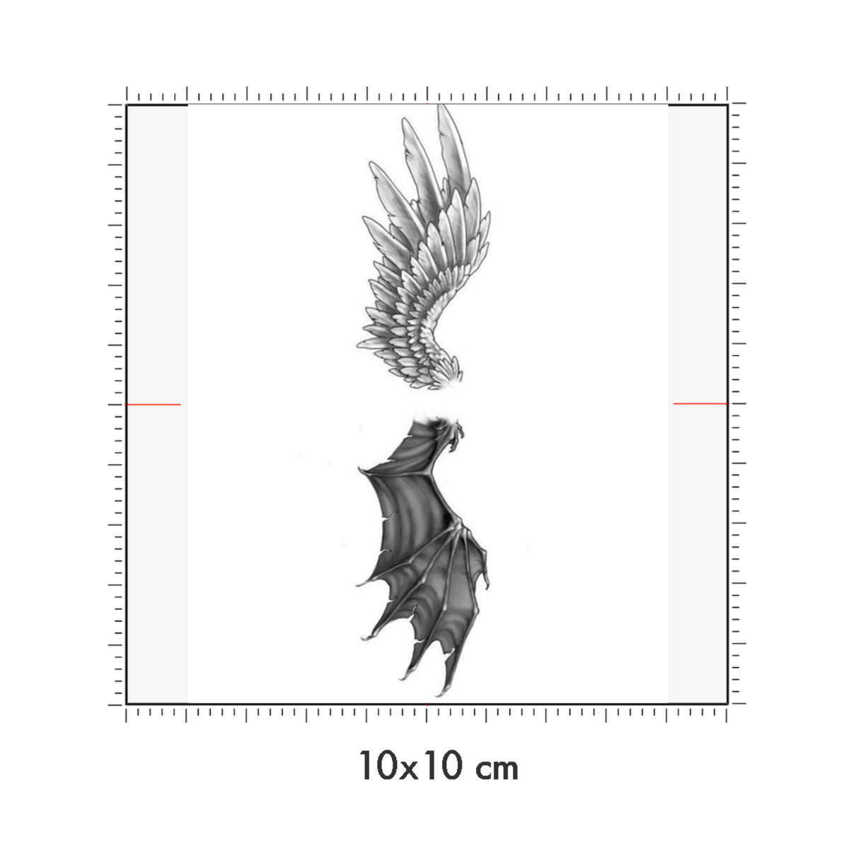10 x 10 cm