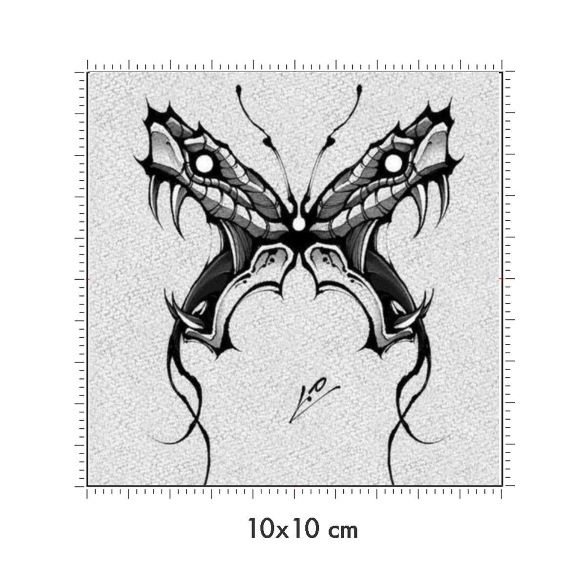 10 x 10 cm