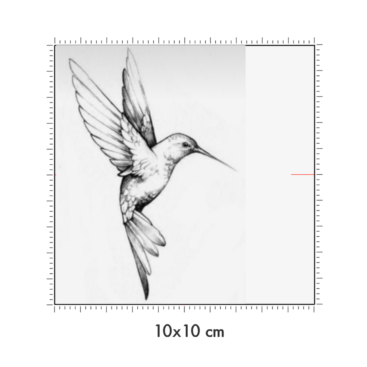 10 x 10 cm