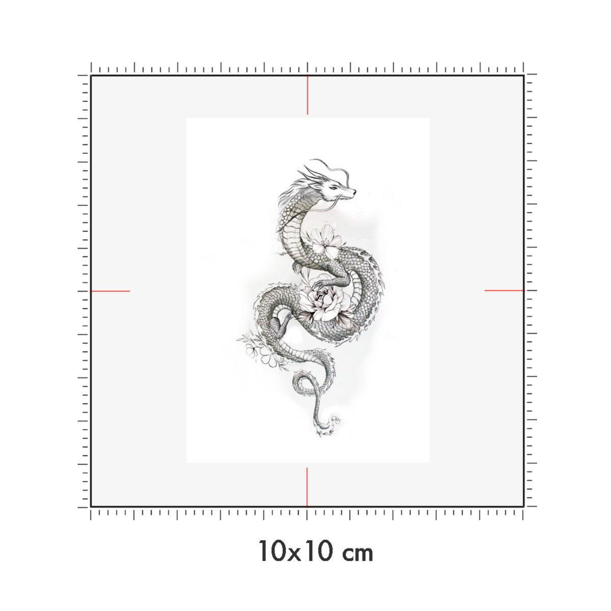 10 x 10 cm