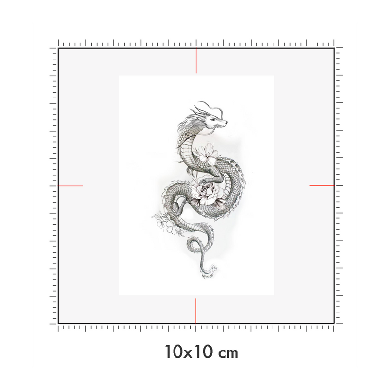 10 x 10 cm