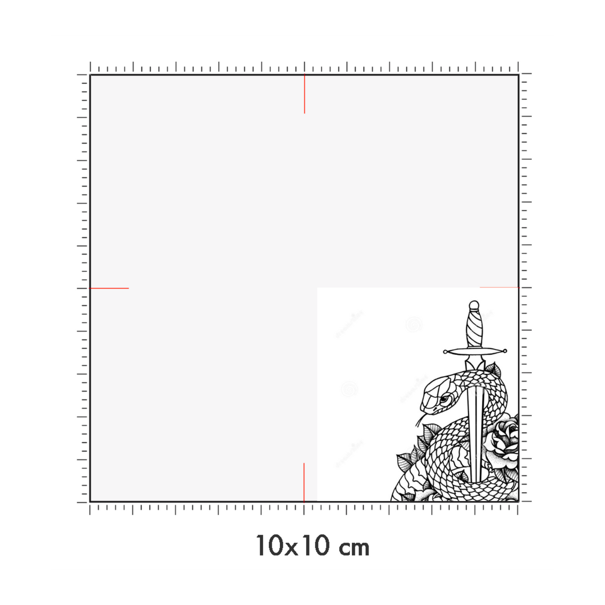 10 x 10 cm