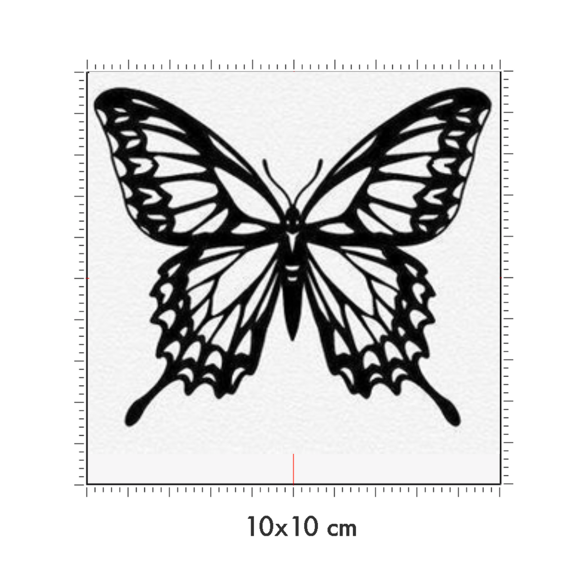 10 x 10 cm