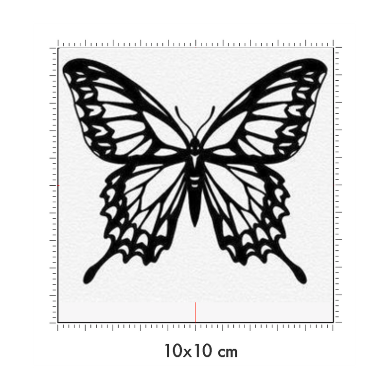 10 x 10 cm