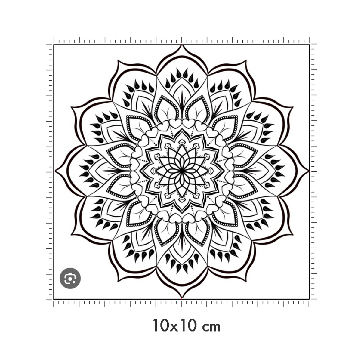 10 x 10 cm