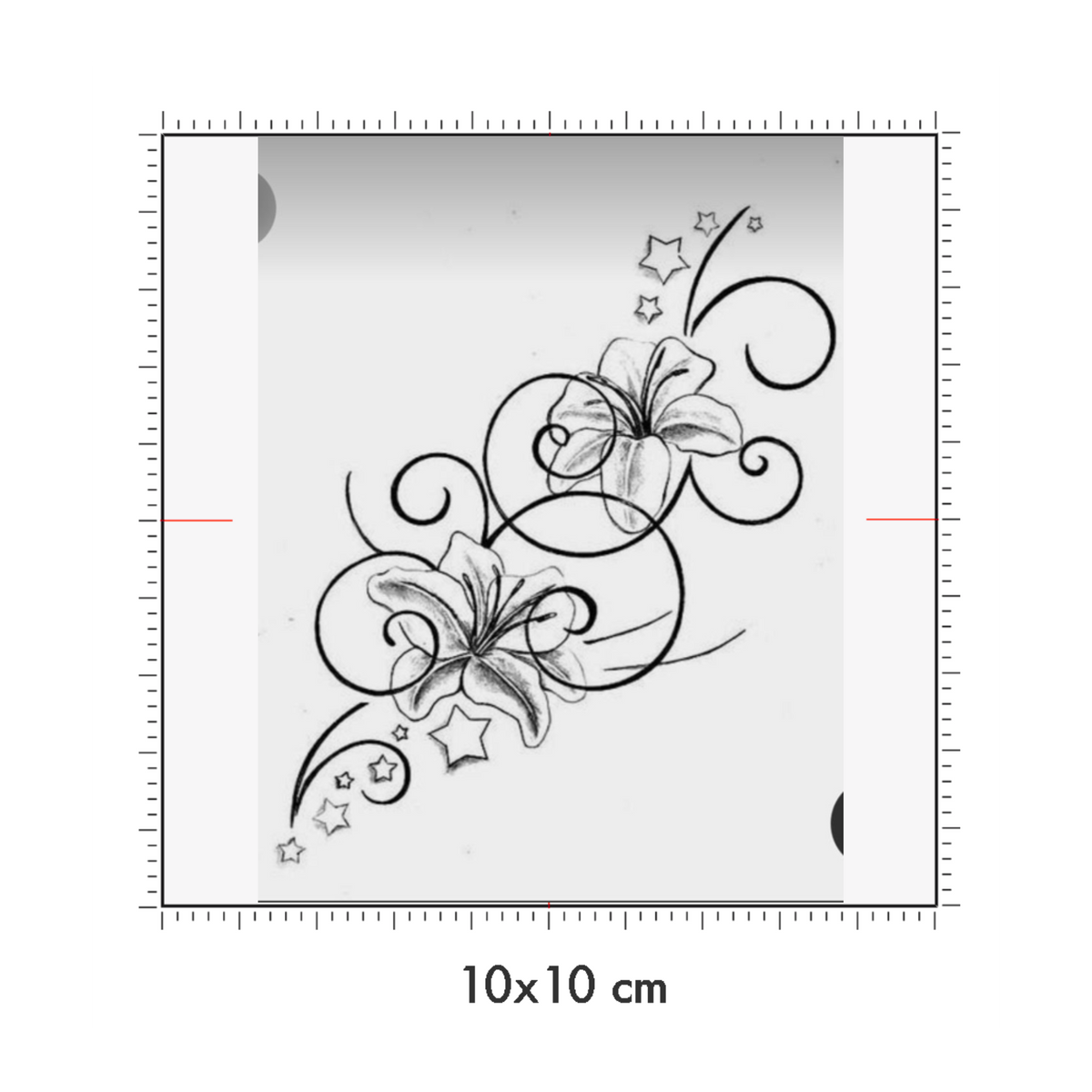 10 x 10 cm