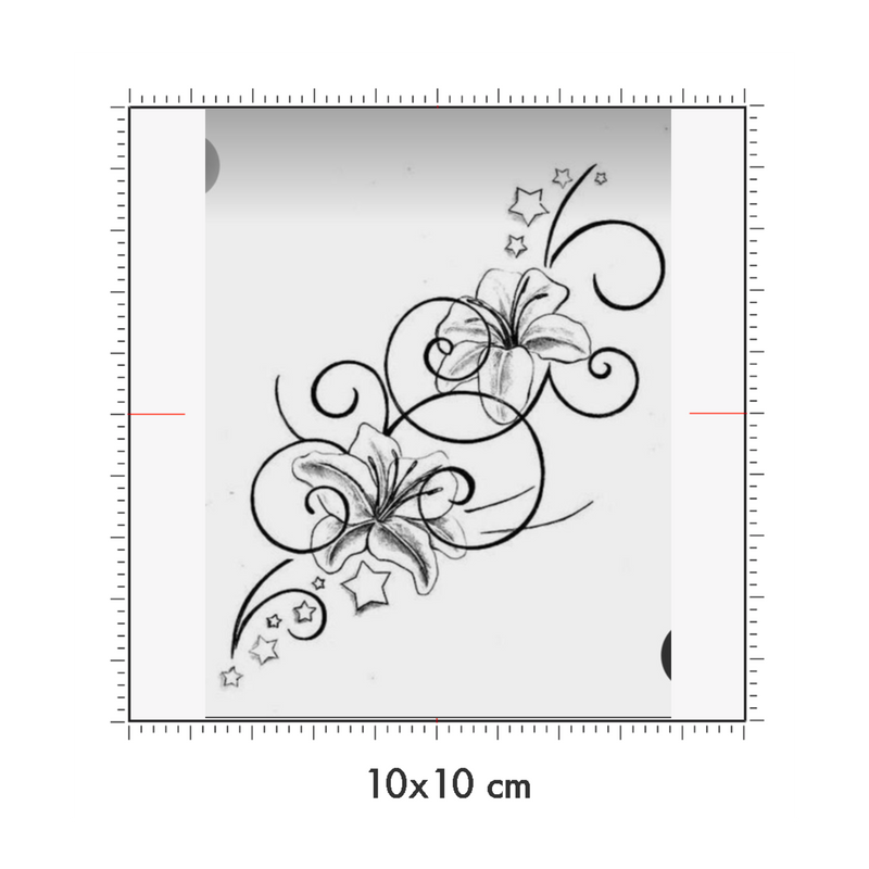 10 x 10 cm