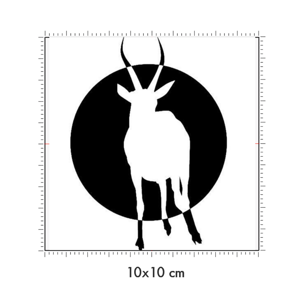 10 x 10 cm