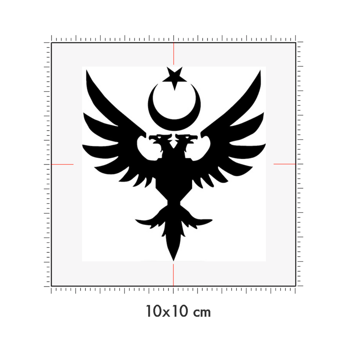 10 x 10 cm