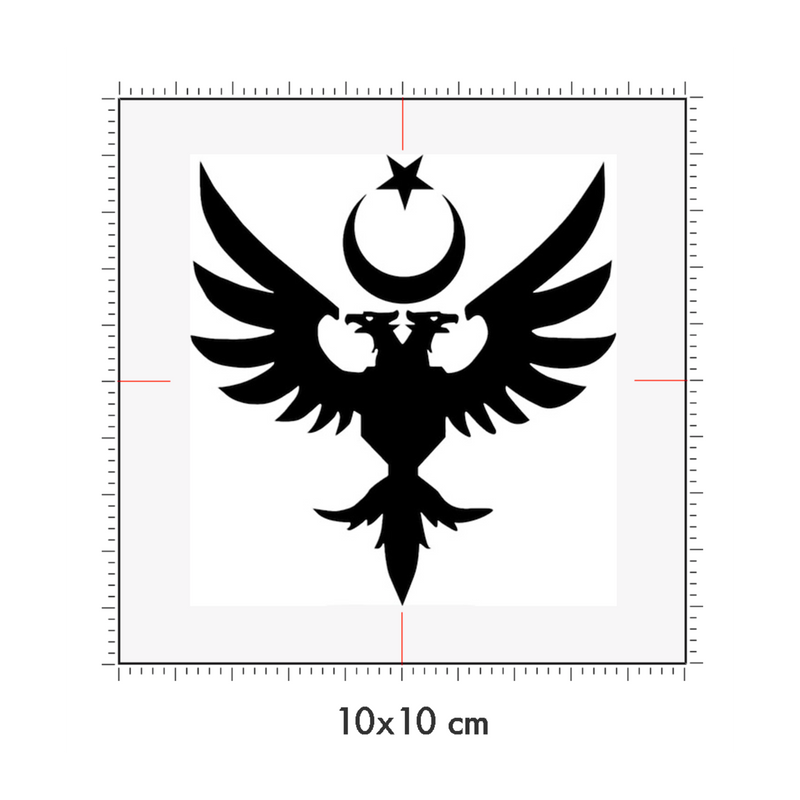 10 x 10 cm