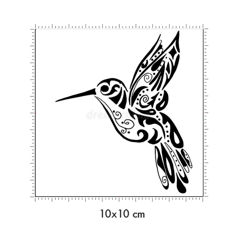 10 x 10 cm