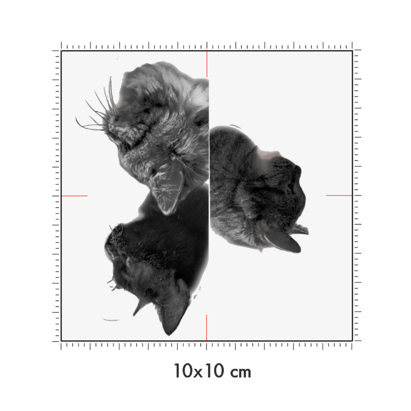 10 x 10 cm