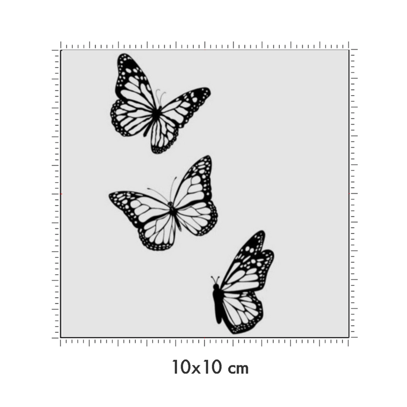 10 x 10 cm