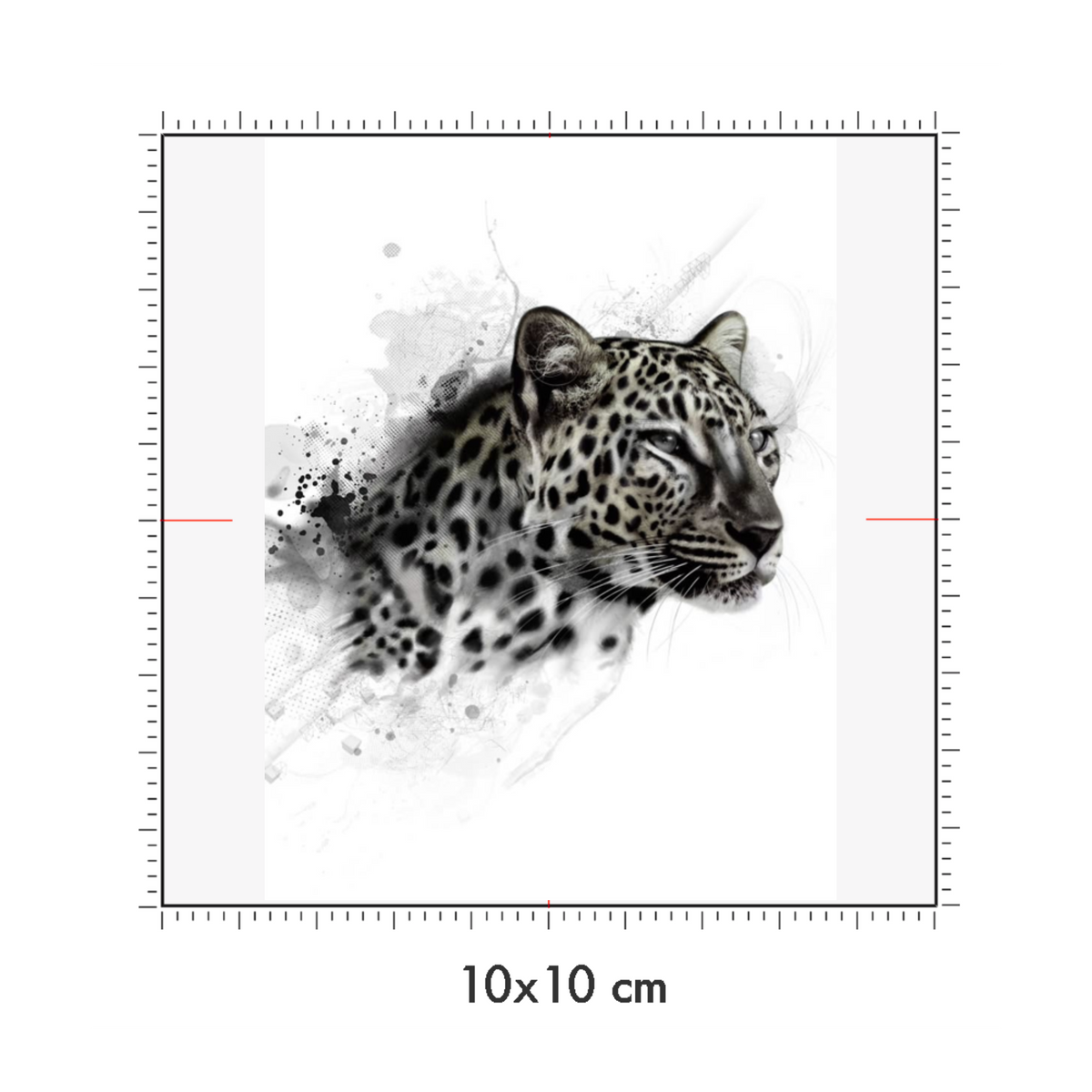 10 x 10 cm