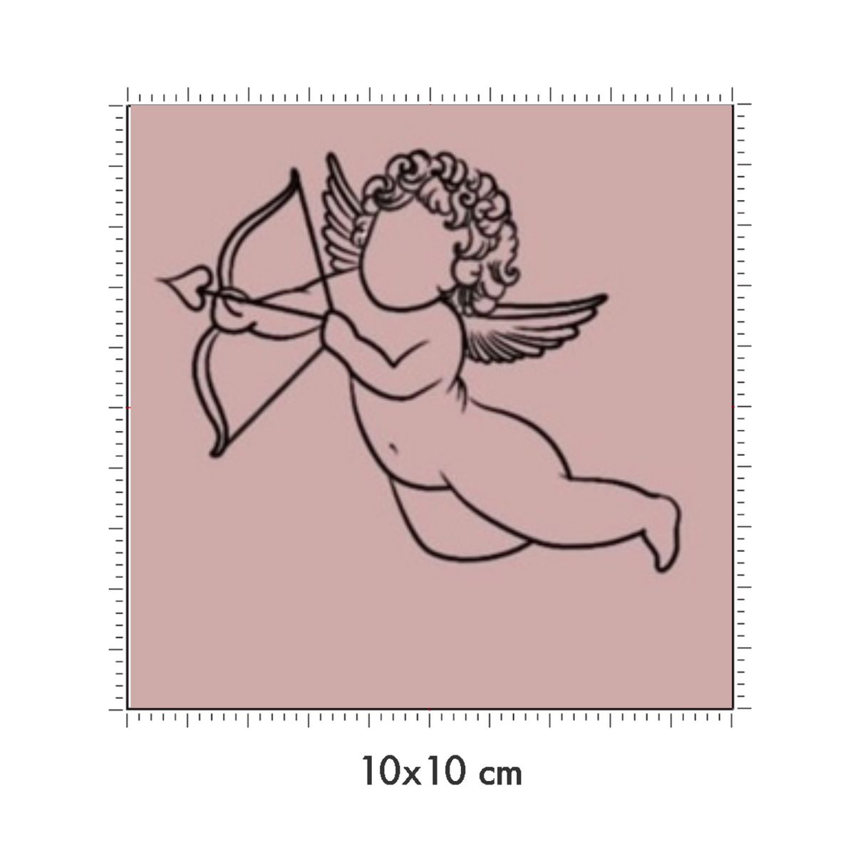 10 x 10 cm