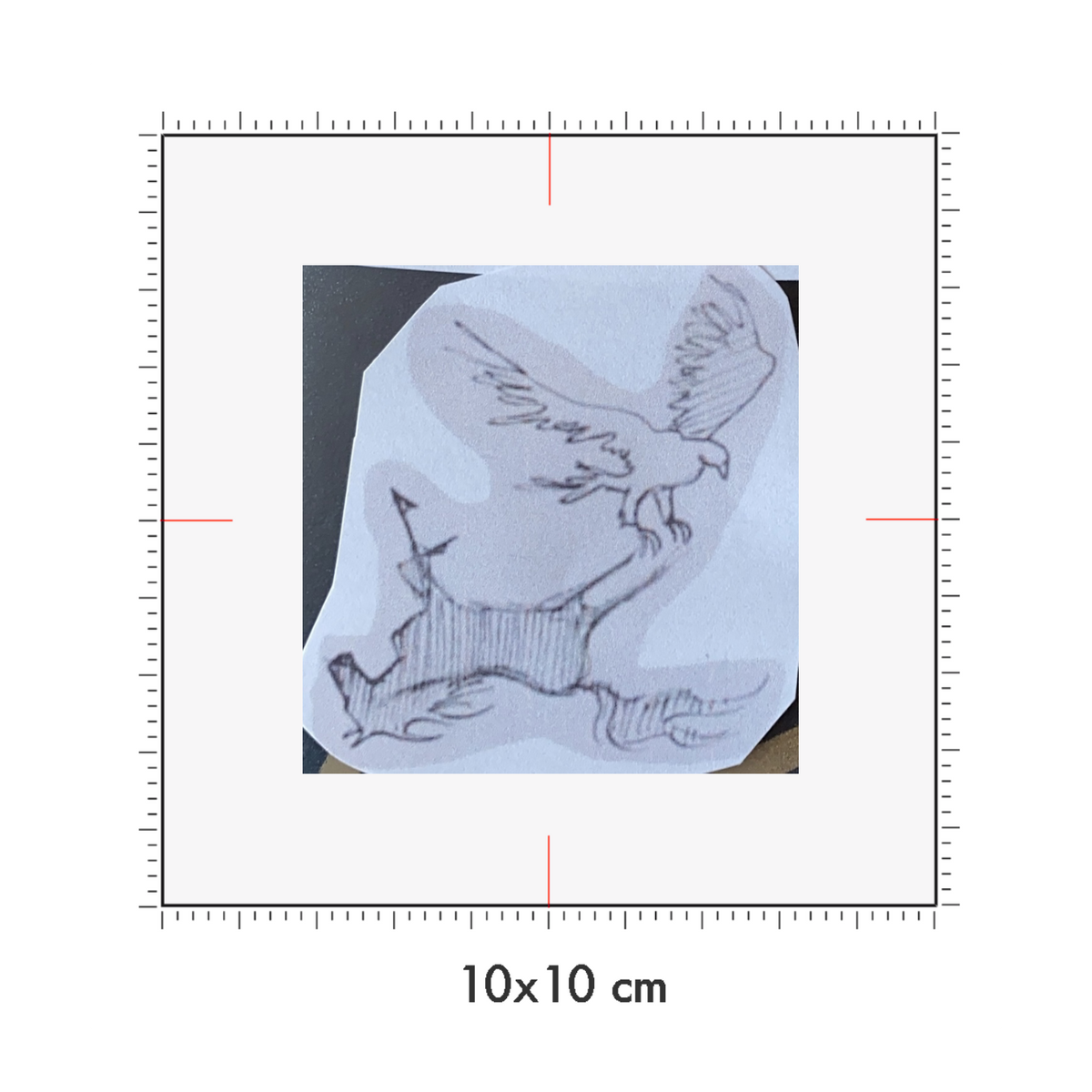 10 x 10 cm