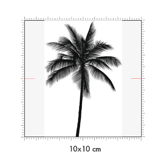 10 x 10 cm