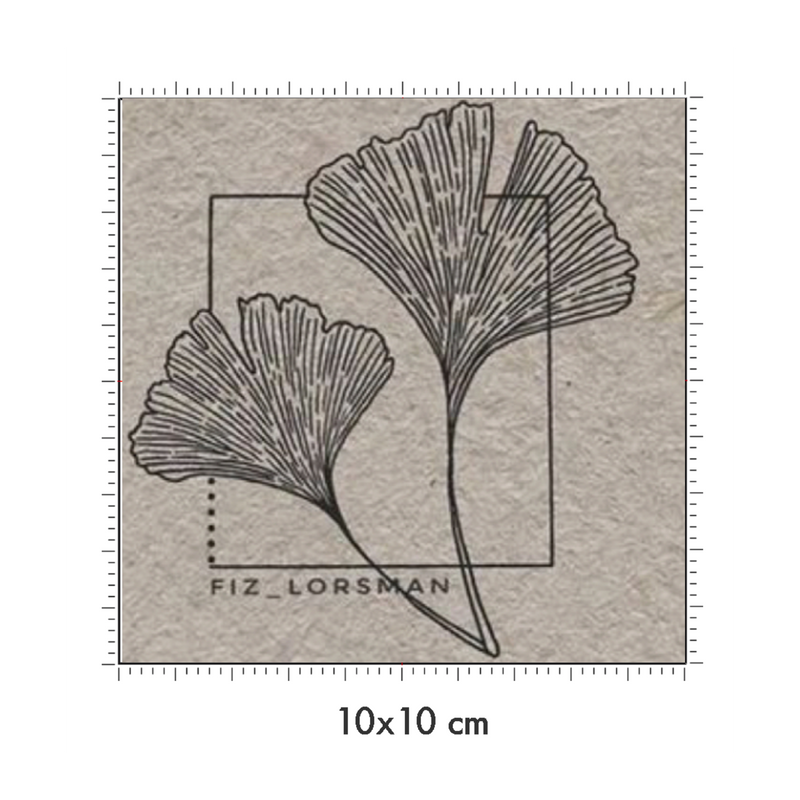 10 x 10 cm