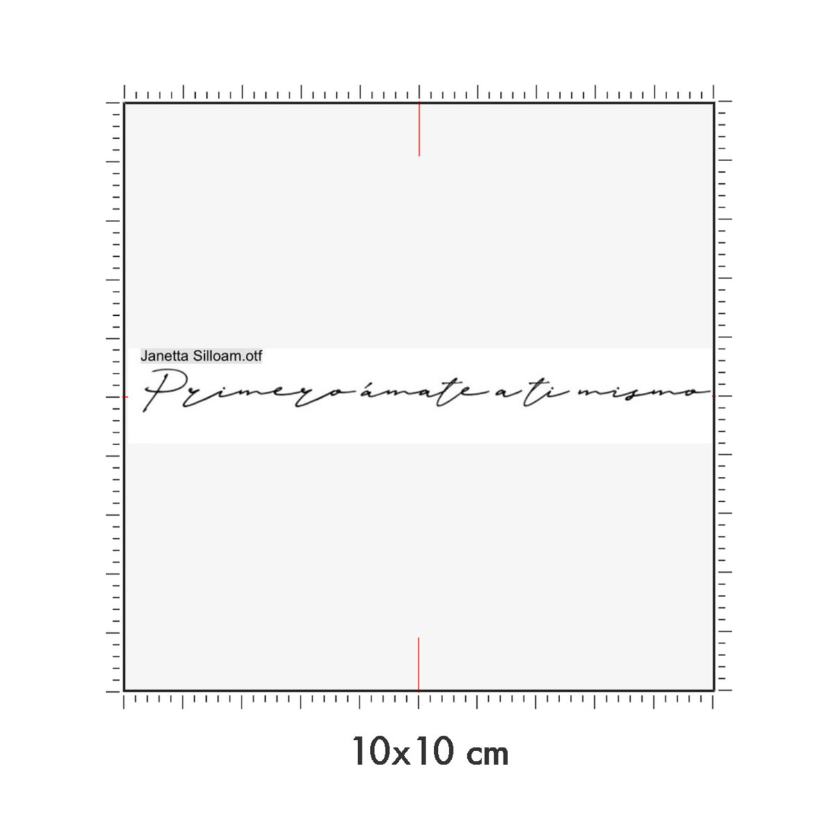 10 x 10 cm