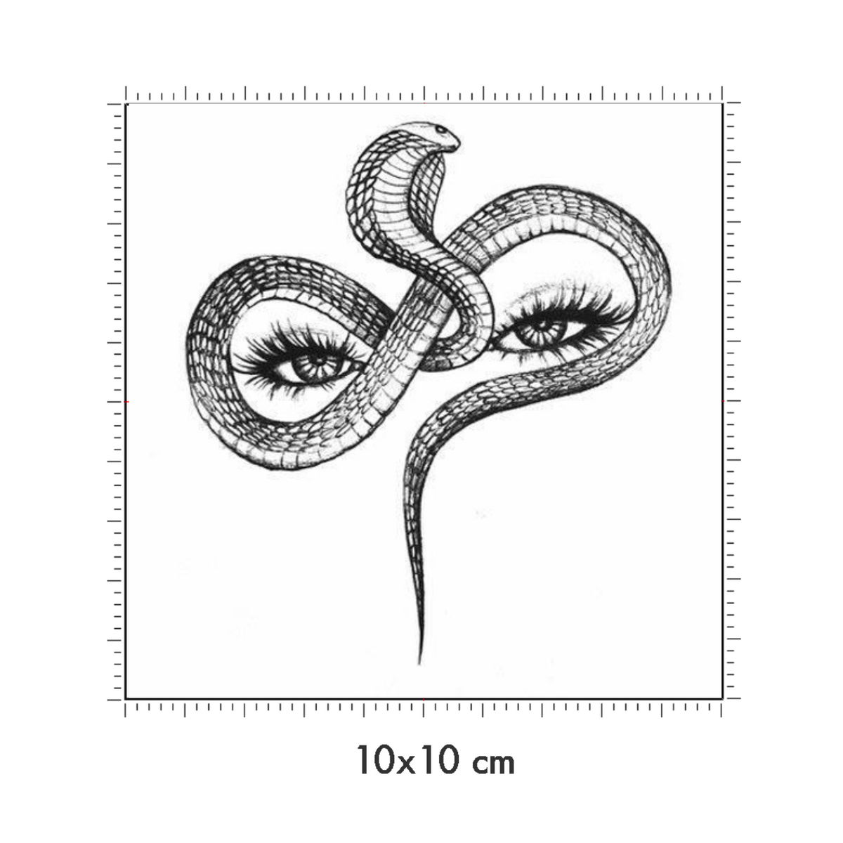 10 x 10 cm