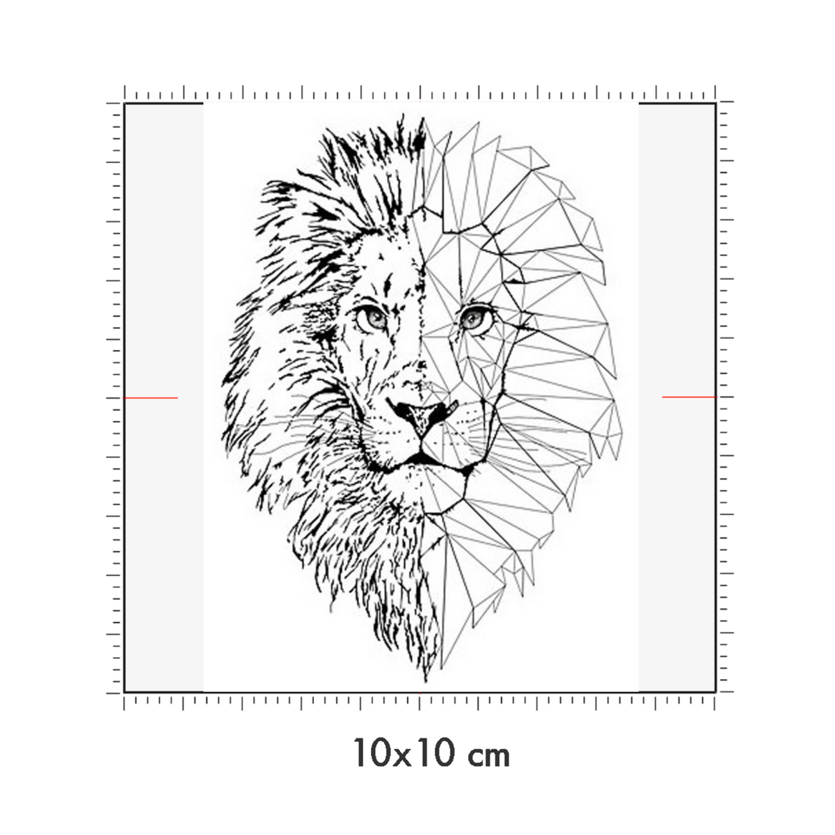 10 x 10 cm
