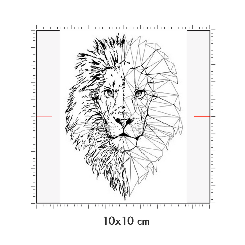 10 x 10 cm