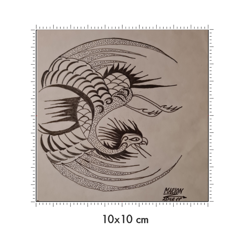 10 x 10 cm