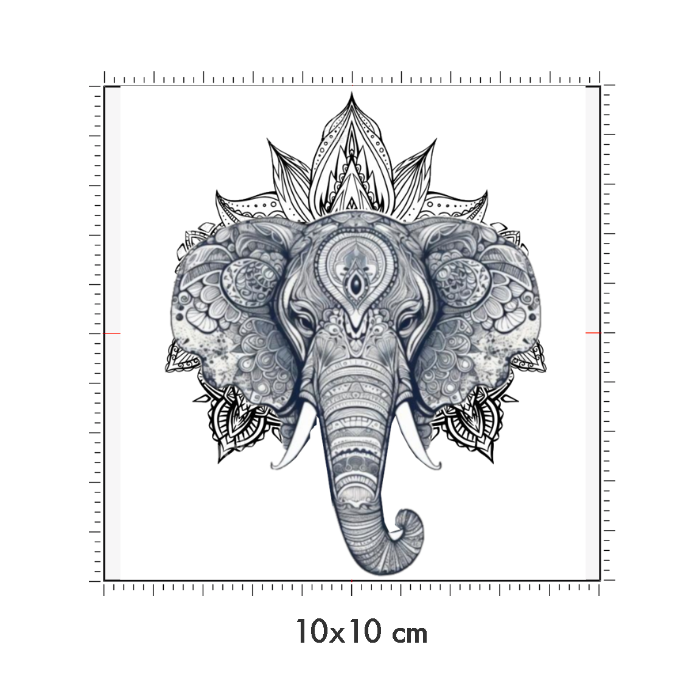 10 x 10 cm