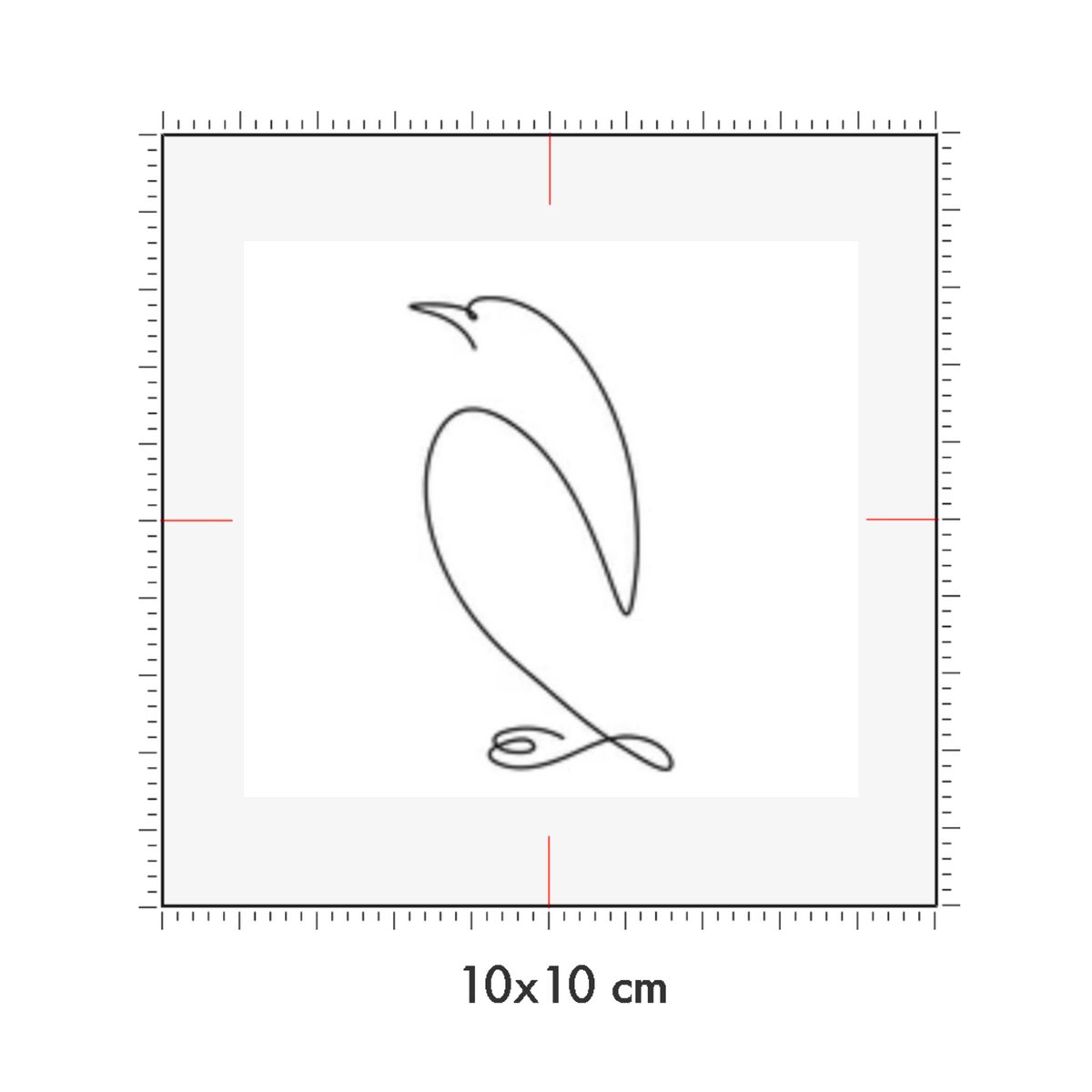 10 x 10 cm