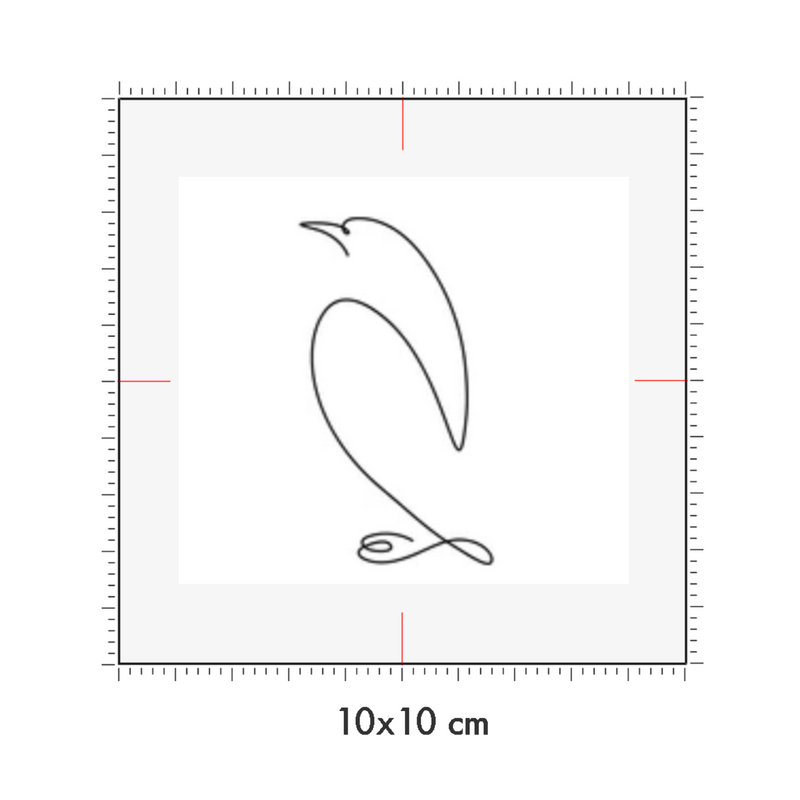 10 x 10 cm