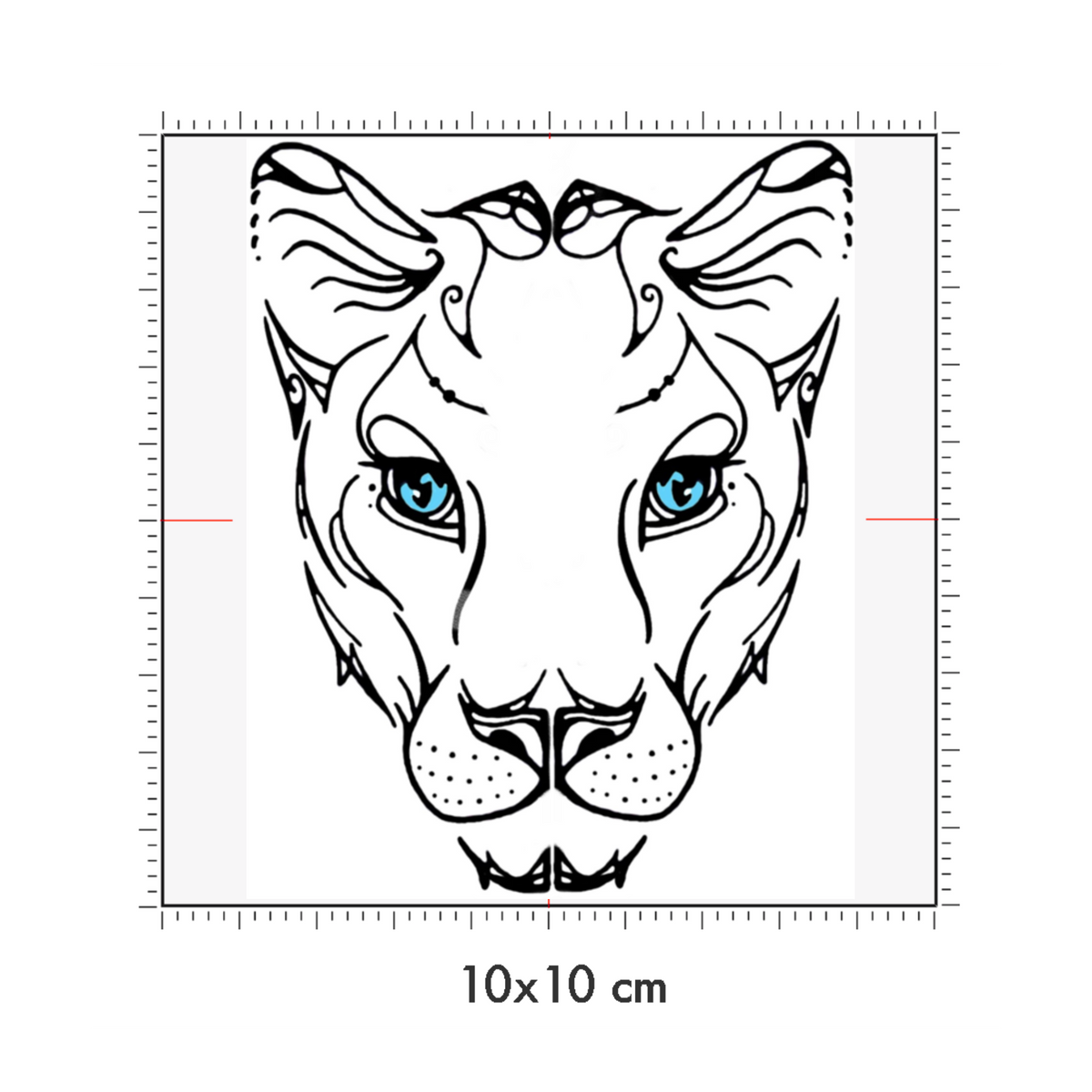10 x 10 cm