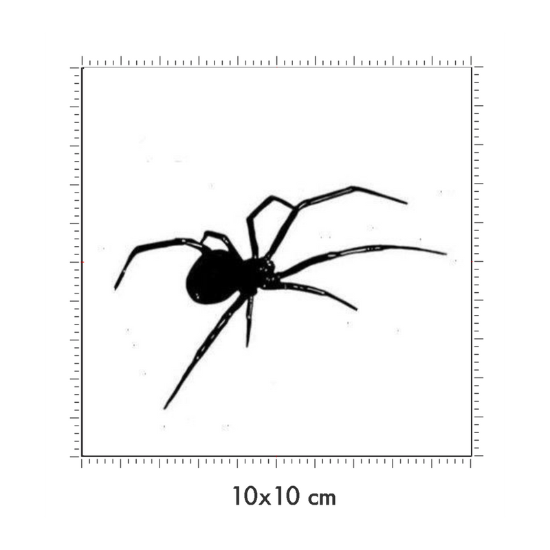 10 x 10 cm