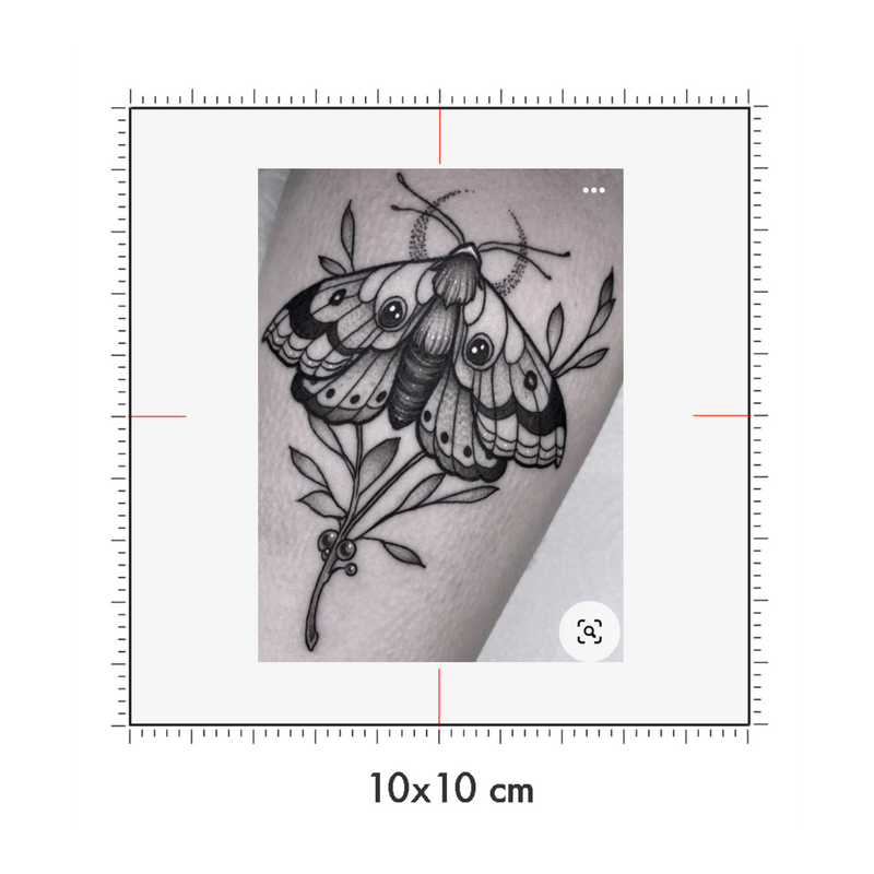 10 x 10 cm