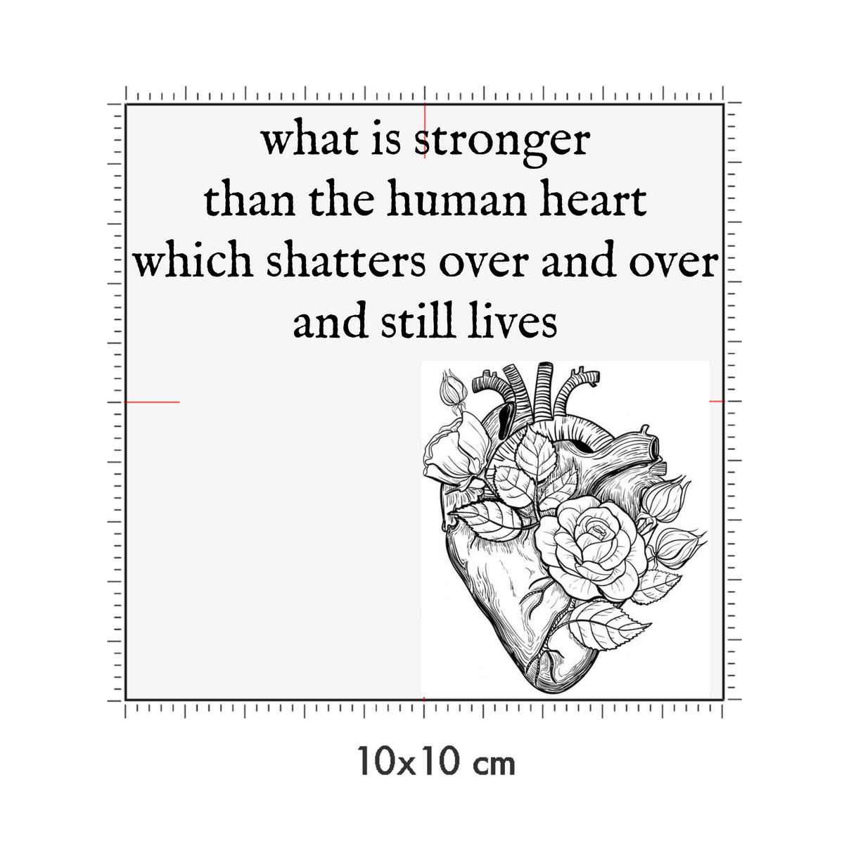 10 x 10 cm