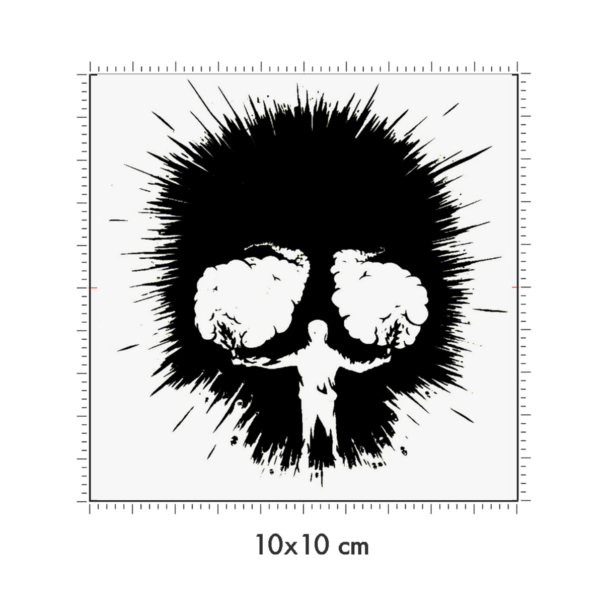 10 x 10 cm