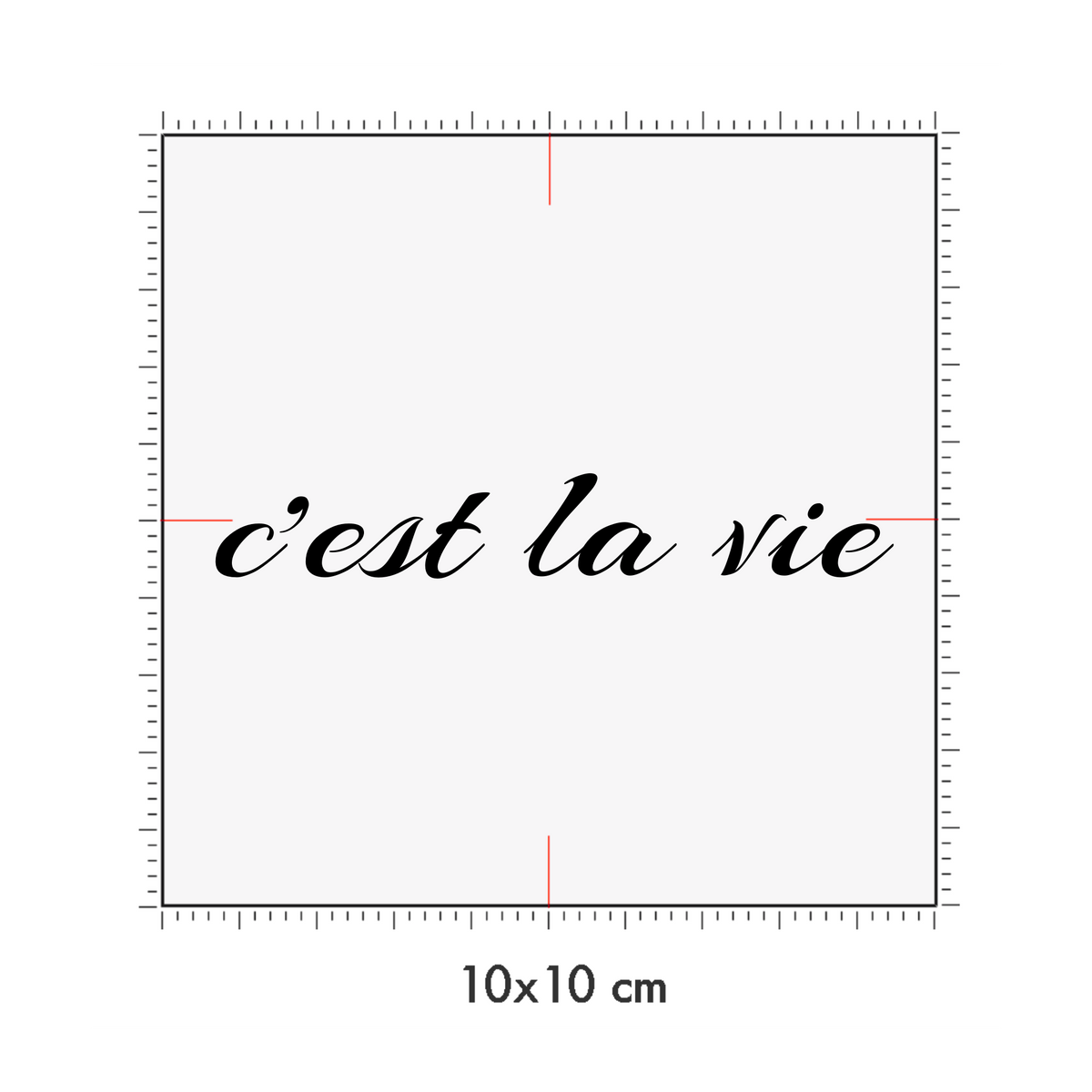 10 x 10 cm