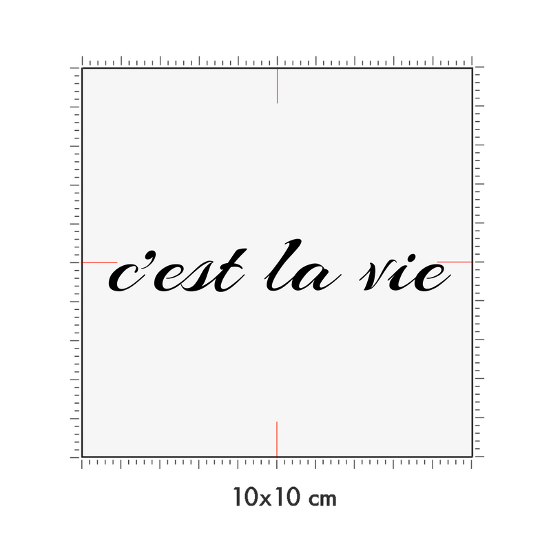10 x 10 cm