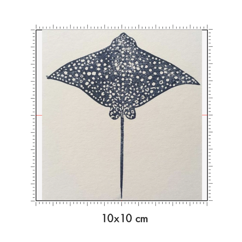 10 x 10 cm