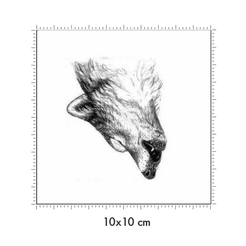 10 x 10 cm