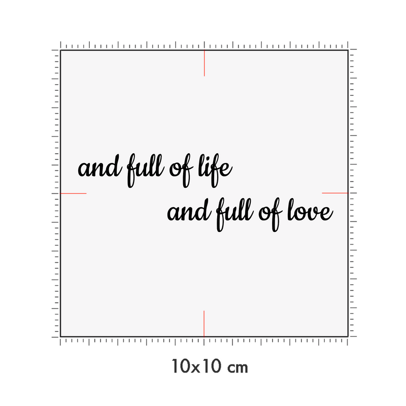 10 x 10 cm
